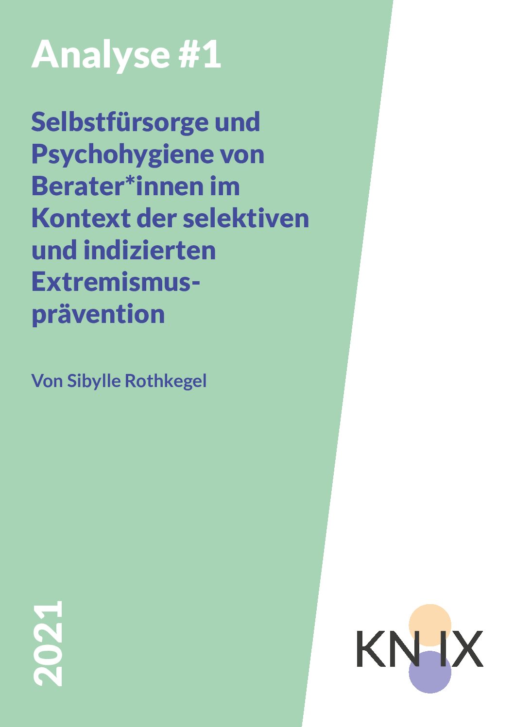 KN_IX-Analyse-1-2021-1